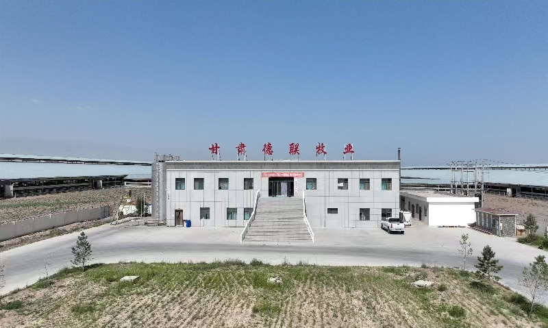 甘肅德聯(lián)牧業(yè)有限公司（前進(jìn)集團(tuán)德聯(lián)牧場(chǎng)）