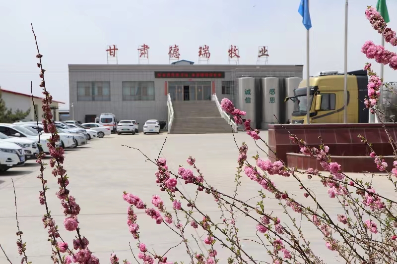 甘肅德瑞牧業(yè)有限公司簡(jiǎn)介（前進(jìn)集團(tuán)德瑞牧場(chǎng)）