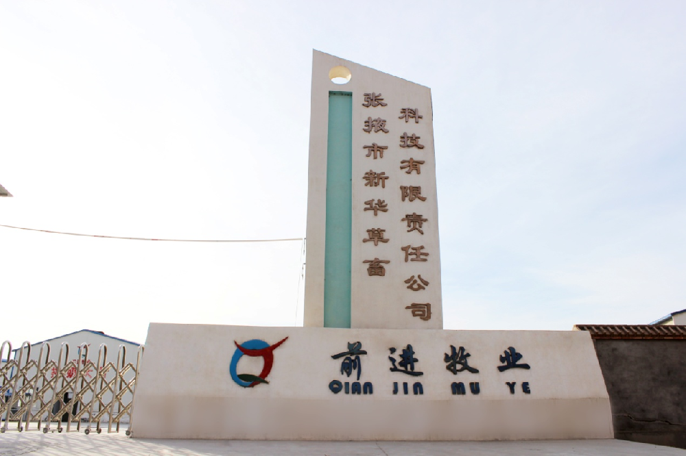 我眼中的新華牧場