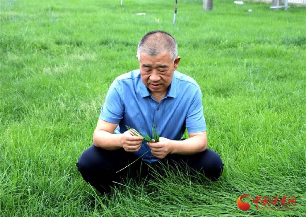 向“新”甘肅 民企力量（6）|甘肅前進(jìn)現(xiàn)代農(nóng)業(yè)發(fā)展集團(tuán)有限公司董事長馬志祥：新征程上再前進(jìn) 全力打造西部奶都