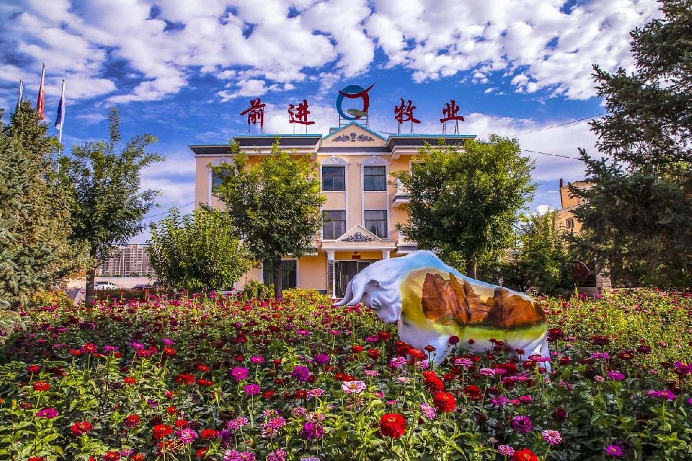 根植沃土，共沐朝陽(yáng)——我與前進(jìn)牧業(yè)同行的歲月